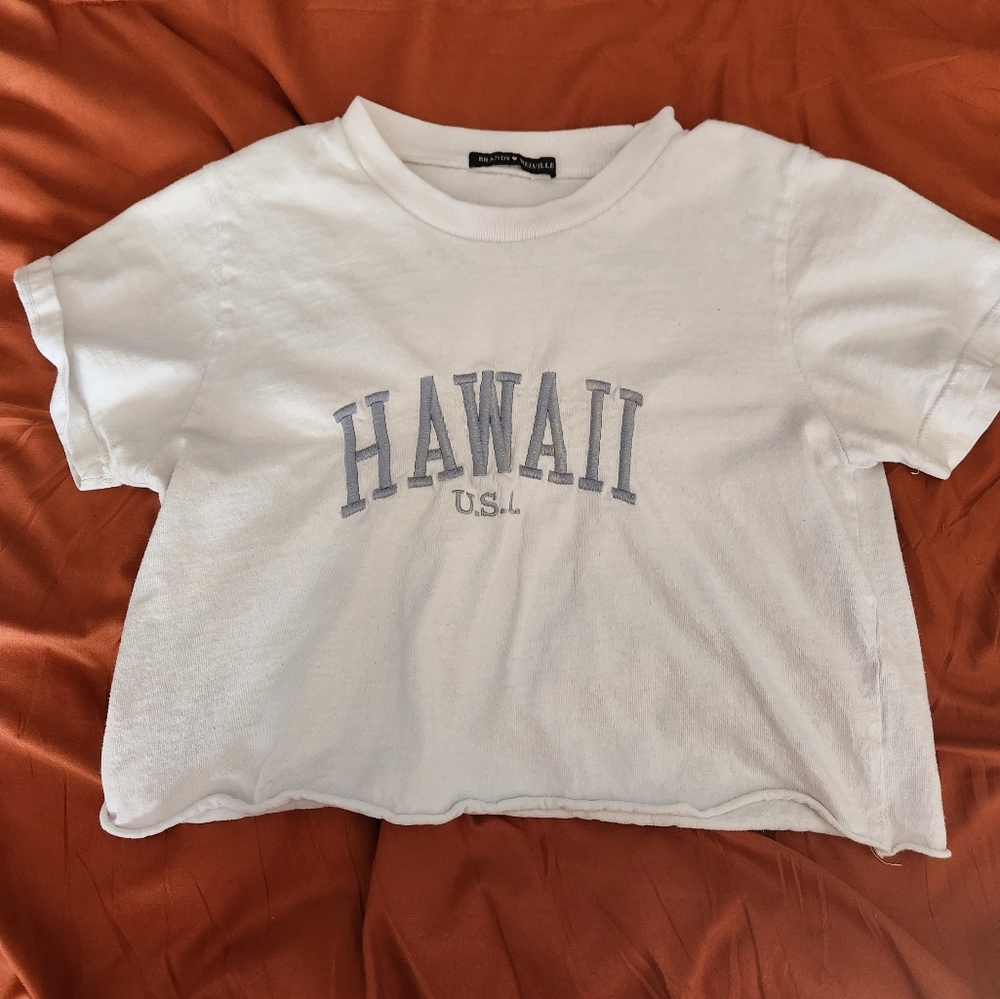 Hawaii brandy Melville crop top